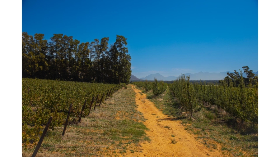 Commercial Property for Sale in Wolseley Western Cape